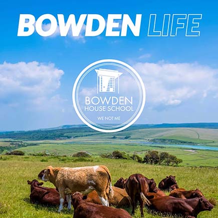 Small business up close: Insight